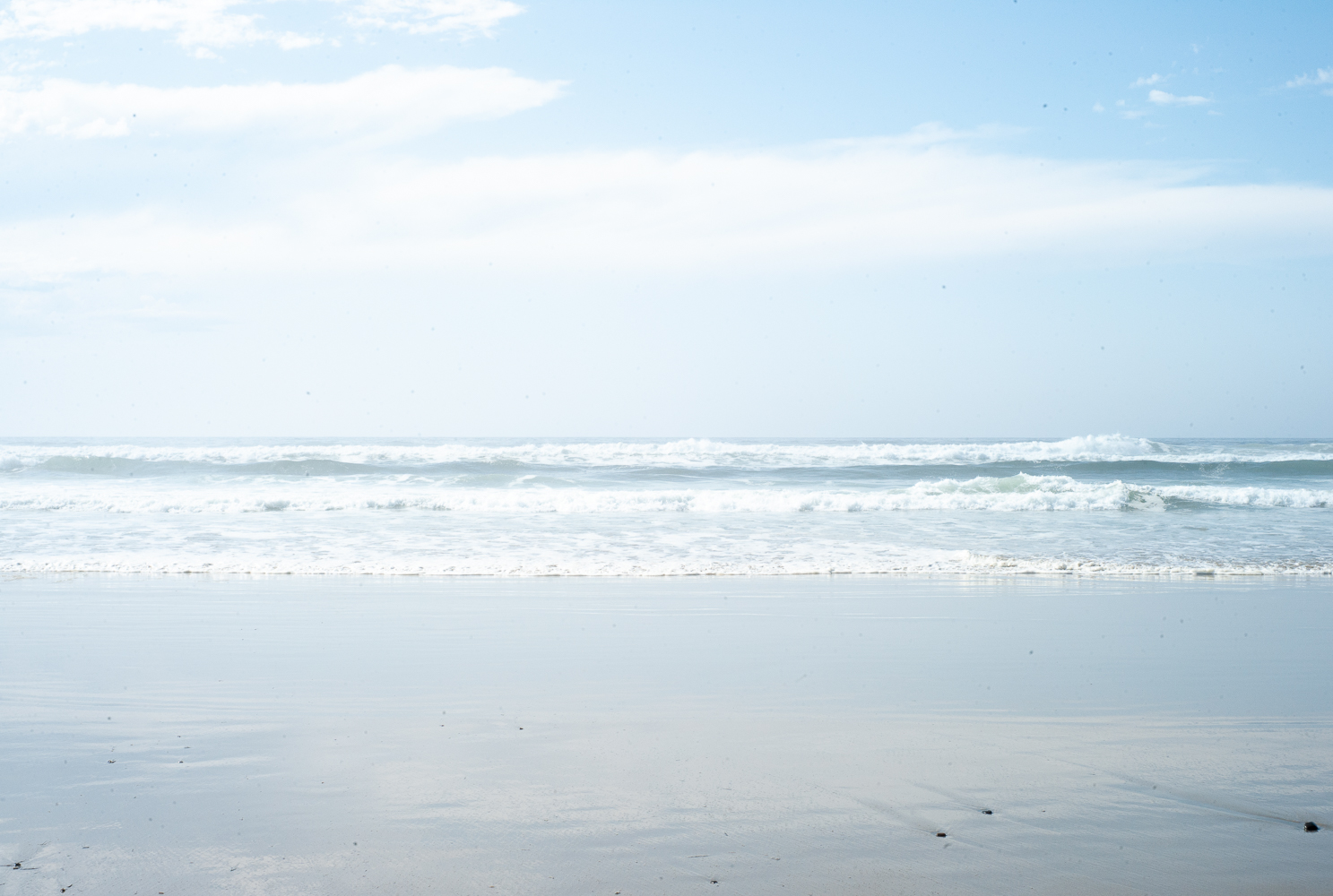 20190826-L9990124.jpg
