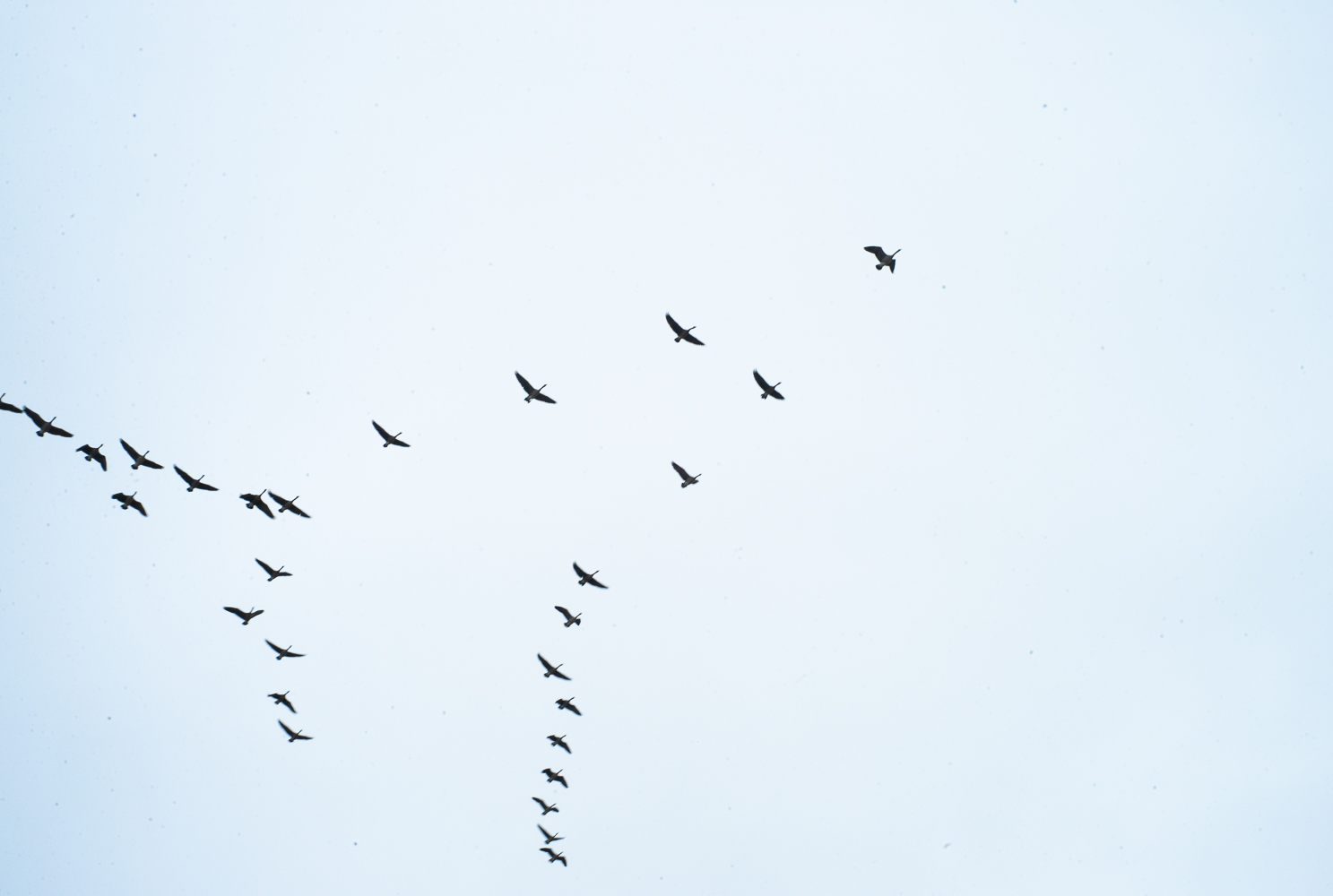 20190826-L9990211.jpg
