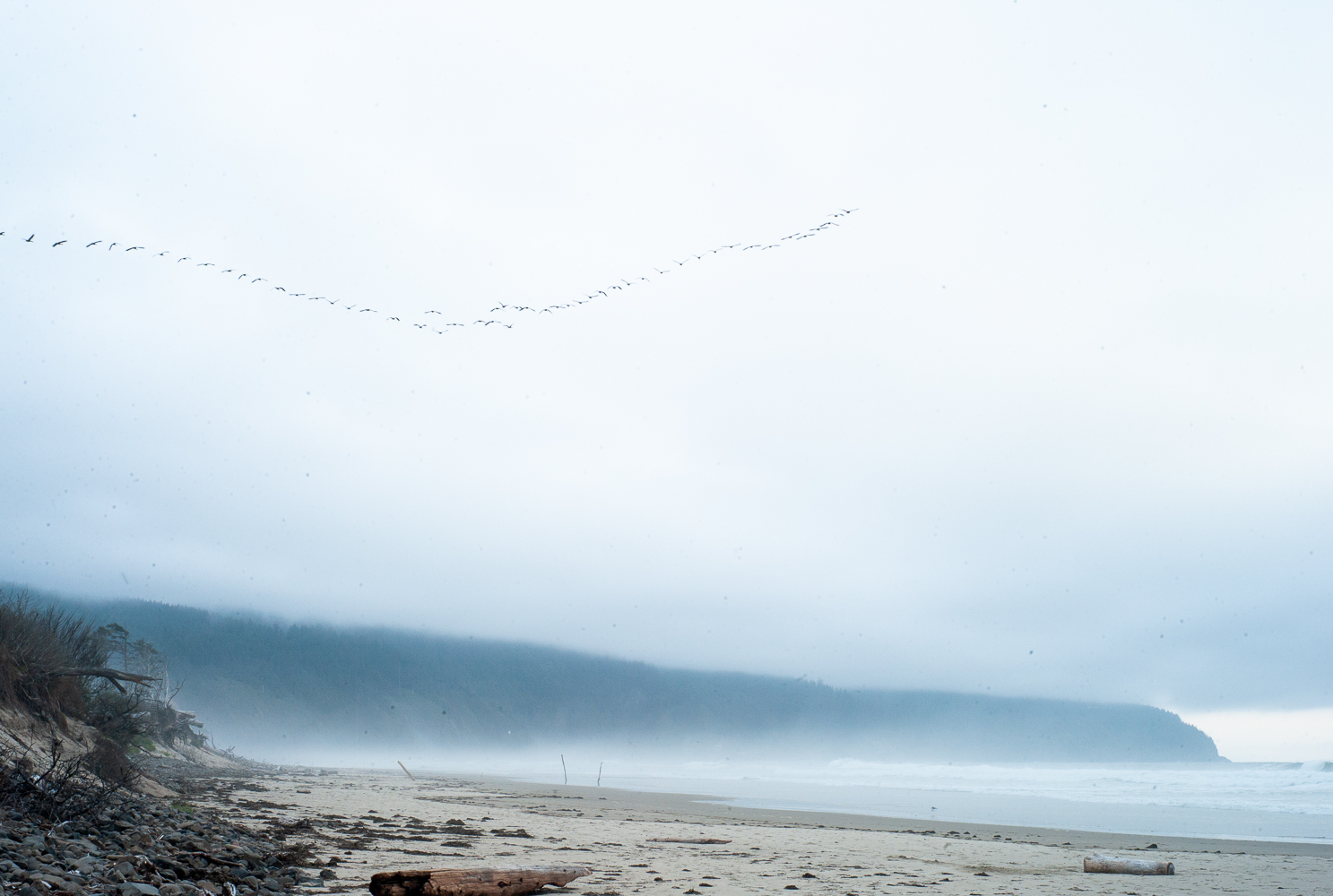 20190826-L9990214.jpg