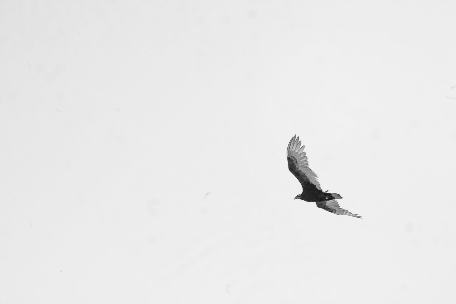 20190504-IMG_1145.jpg
