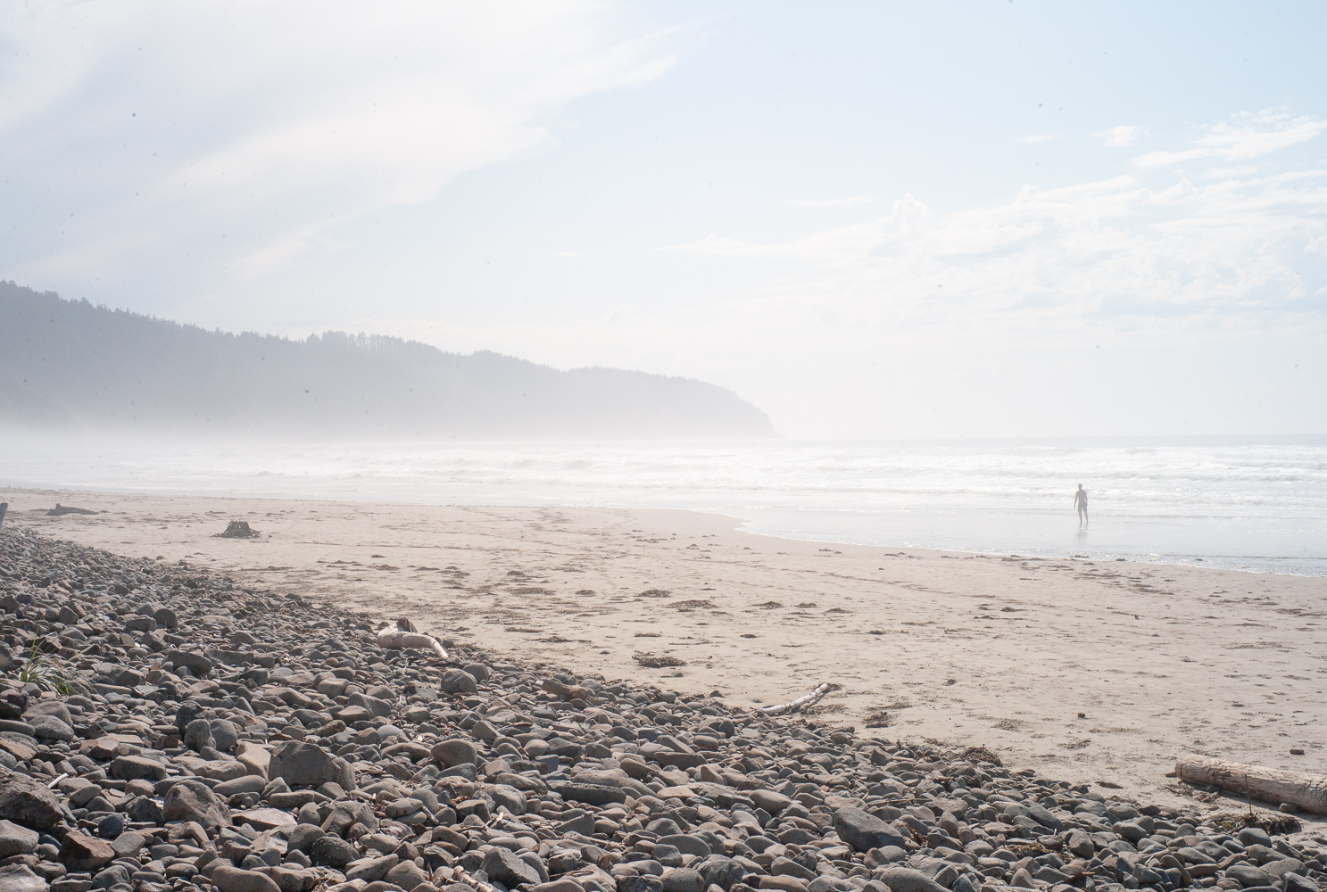 20190826-L9990095.jpg