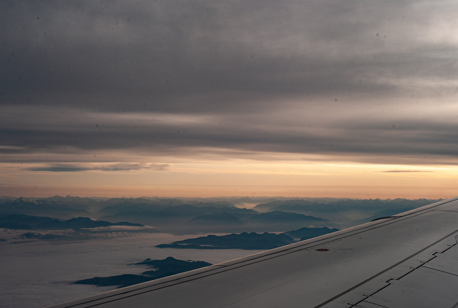 20190827-L9990300.jpg